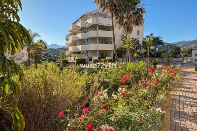 Appartement milieu d’Etage