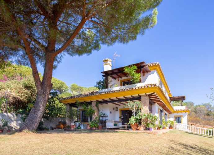 Villa Detached in Elviria - 1