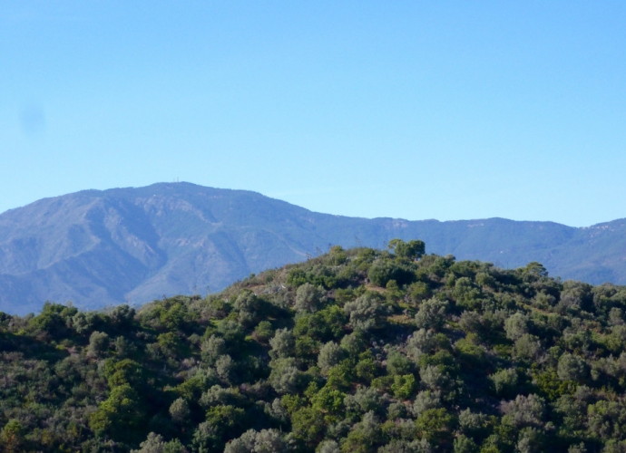 Terrain Résidentiel situé à New Golden Mile - 5