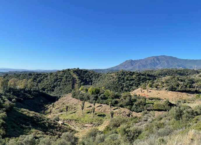 Terrain Résidentiel situé à New Golden Mile - 6