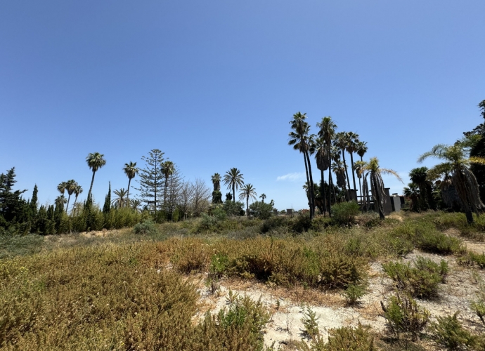 Plot Land in Nueva Andalucía Villas en Nueva Andalucia  - 10