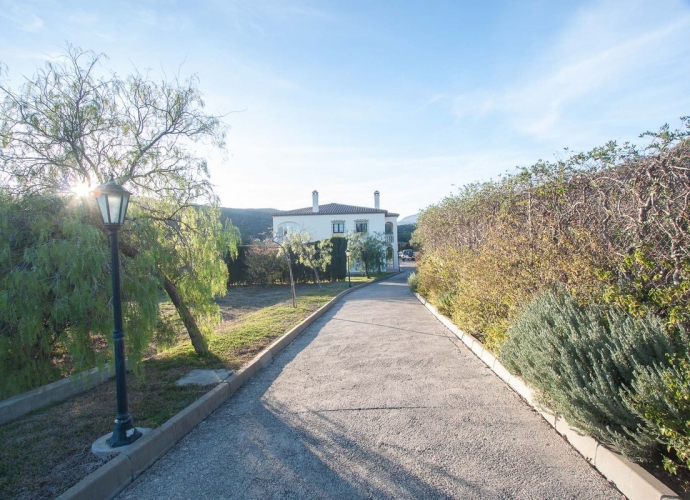 Villa Finca en Estepona - 4