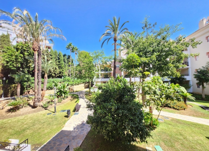 Apartamento Planta Media en Nueva Andalucía - 1