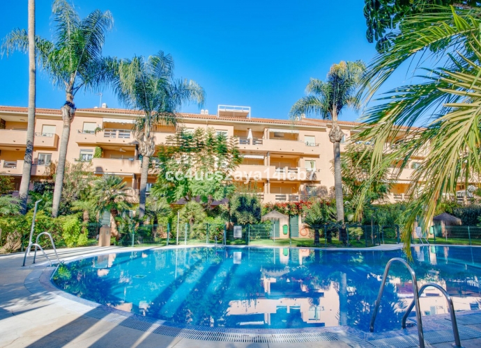 Apartamento Planta Media en Carib Playa - 1