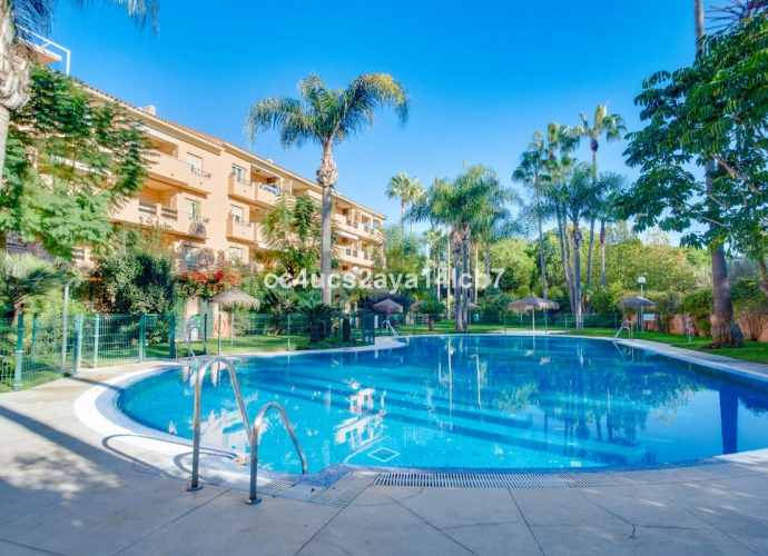 Apartamento Planta Media en Carib Playa - 2