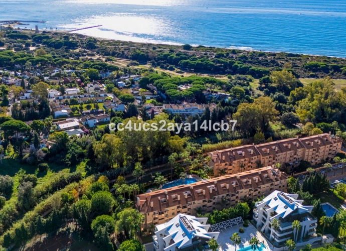 Apartamento Planta Media en Carib Playa - 3