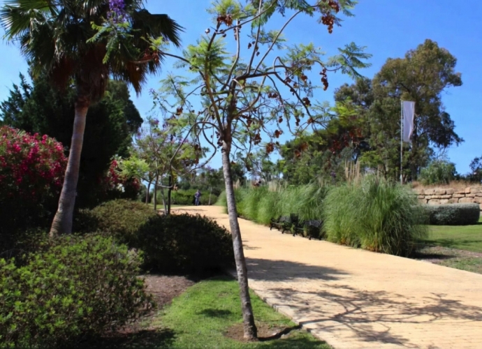 Apartamento Planta Media en Atalaya - 8