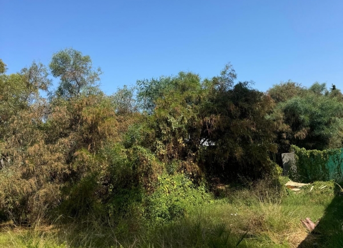 Parcela Residencial en Atalaya - 3