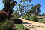 Apartamento Planta Media en Atalaya - 8 - slides