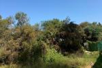 Parcela Residencial en Atalaya - 3 - slides