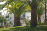 Apartamento Planta Baja en Nagüeles - 2 - slides