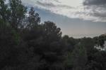 Plot Residential in Elviria - 10 - slides