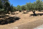 Parcela Residencial en Elviria - 5 - slides