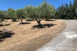 Parcela Residencial en Elviria - 6 - slides