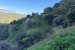 Plot Land in Marbella - 6 - slides