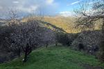 Plot Land in Marbella - 7 - slides