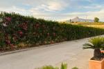 Adosado en Nueva Andalucía - 5 - slides
