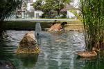 Apartamento Planta Media en The Golden Mile - 10 - slides